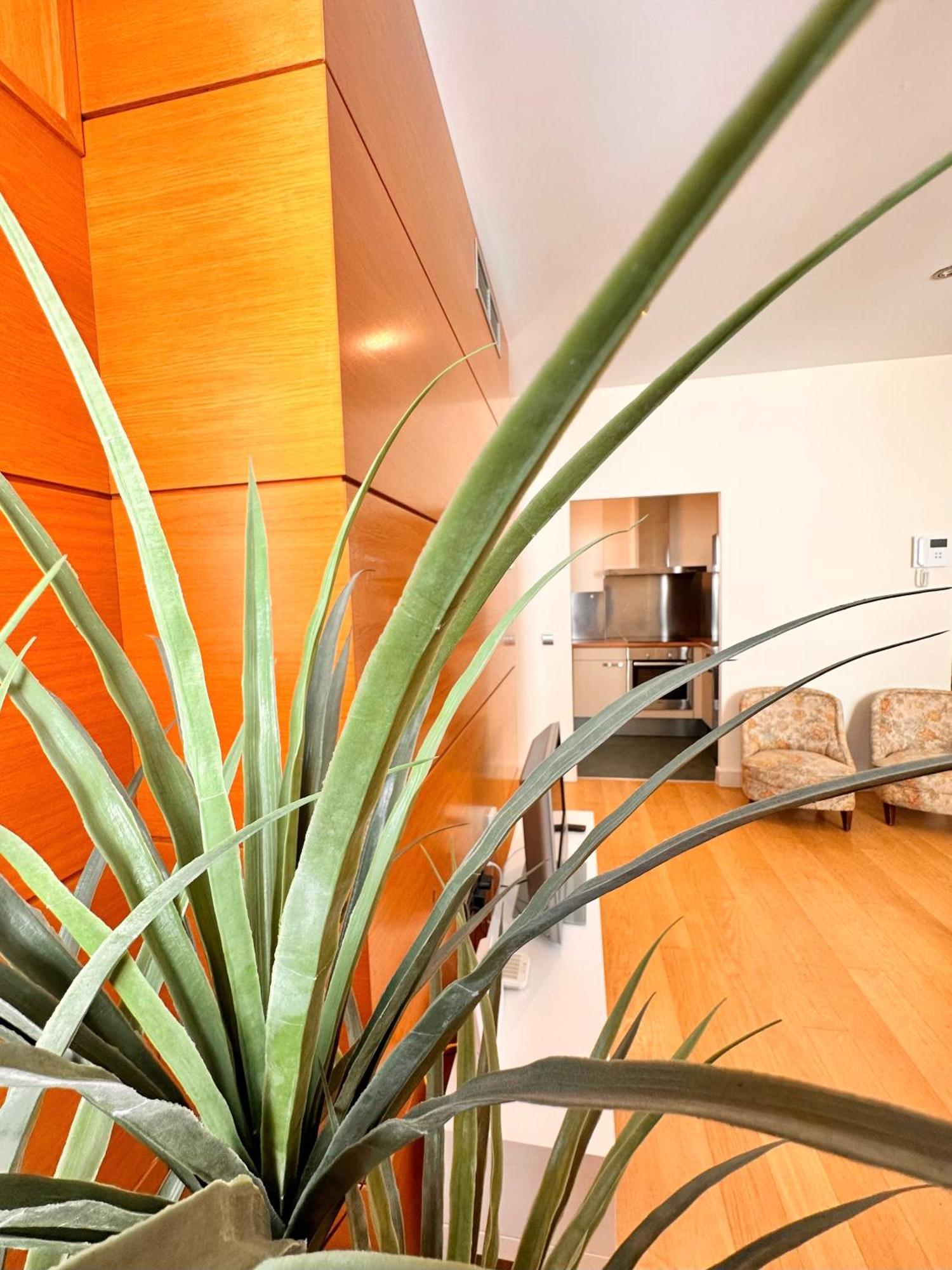 Penthouse Near Cathedral Private Rooftop Private Parking Seville Exterior photo